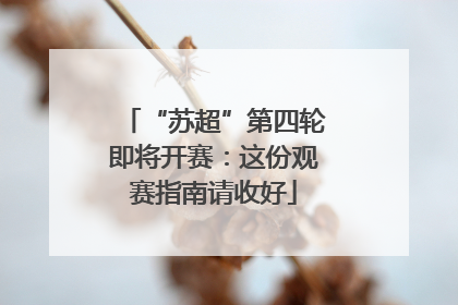 “苏超”第四轮即将开赛：这份观赛指南请收好